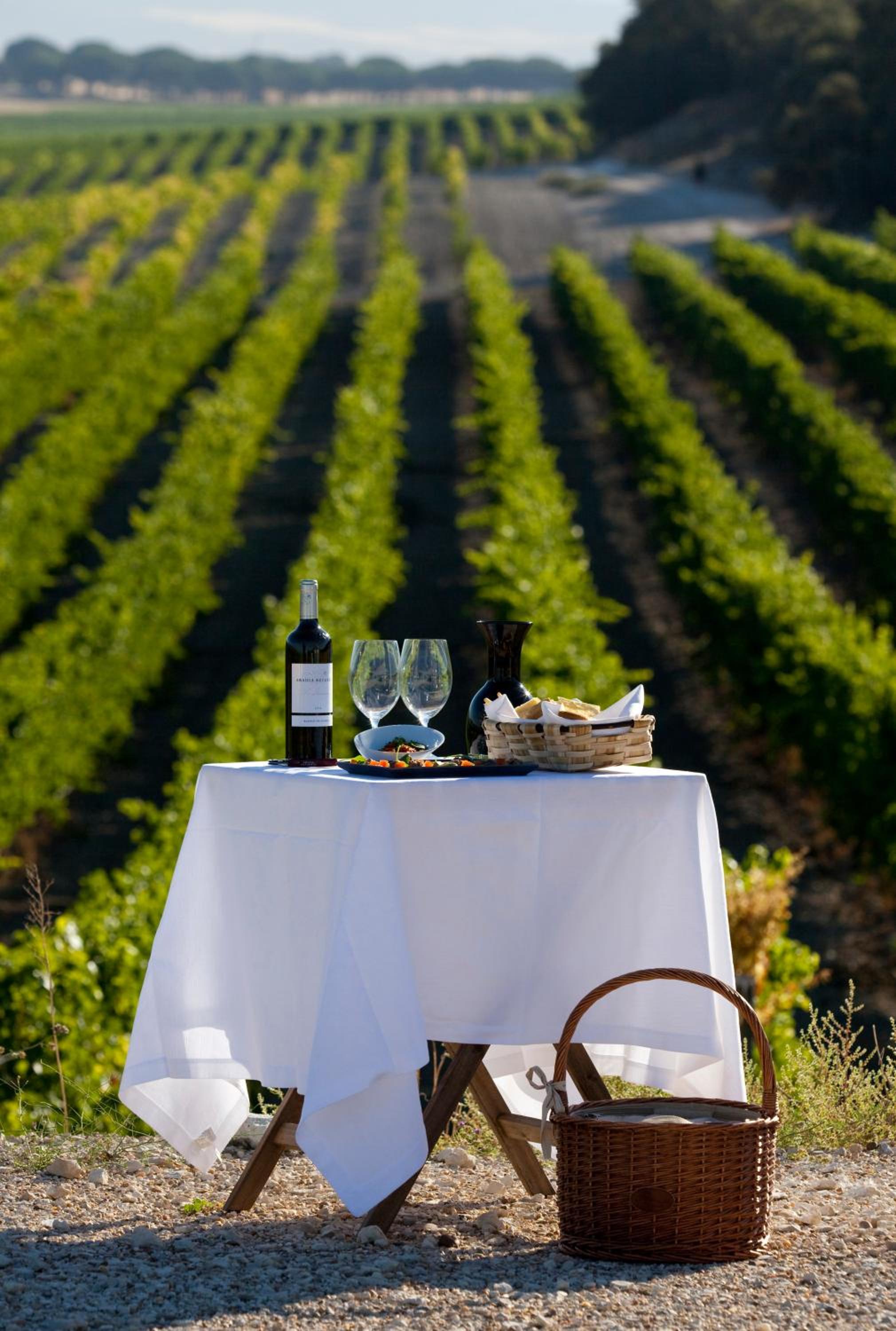 Abadía Retuerta Le Domaine, Valladolid, Spain (photo 6)