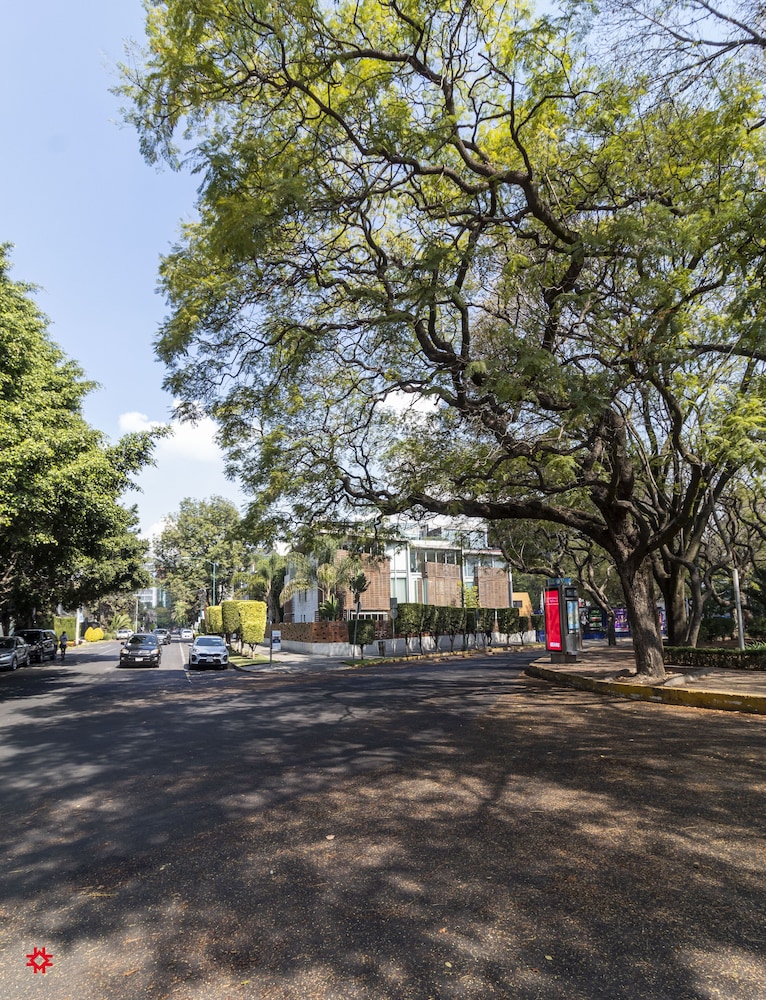 Casa Polanco, Mexico City, Mexico (photo 6)