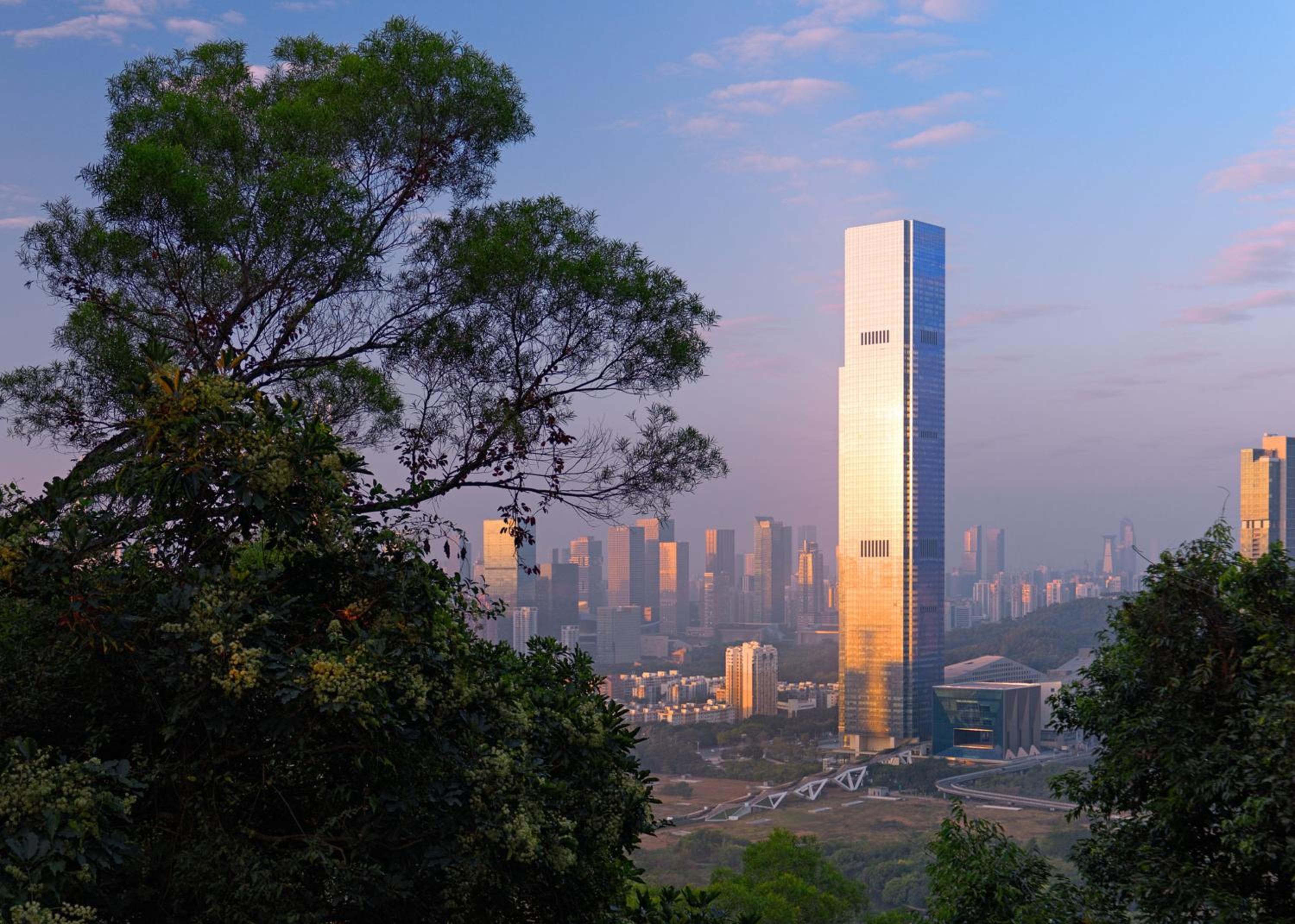 Mandarin Oriental, Shenzhen, Shenzhen, China (photo 5)