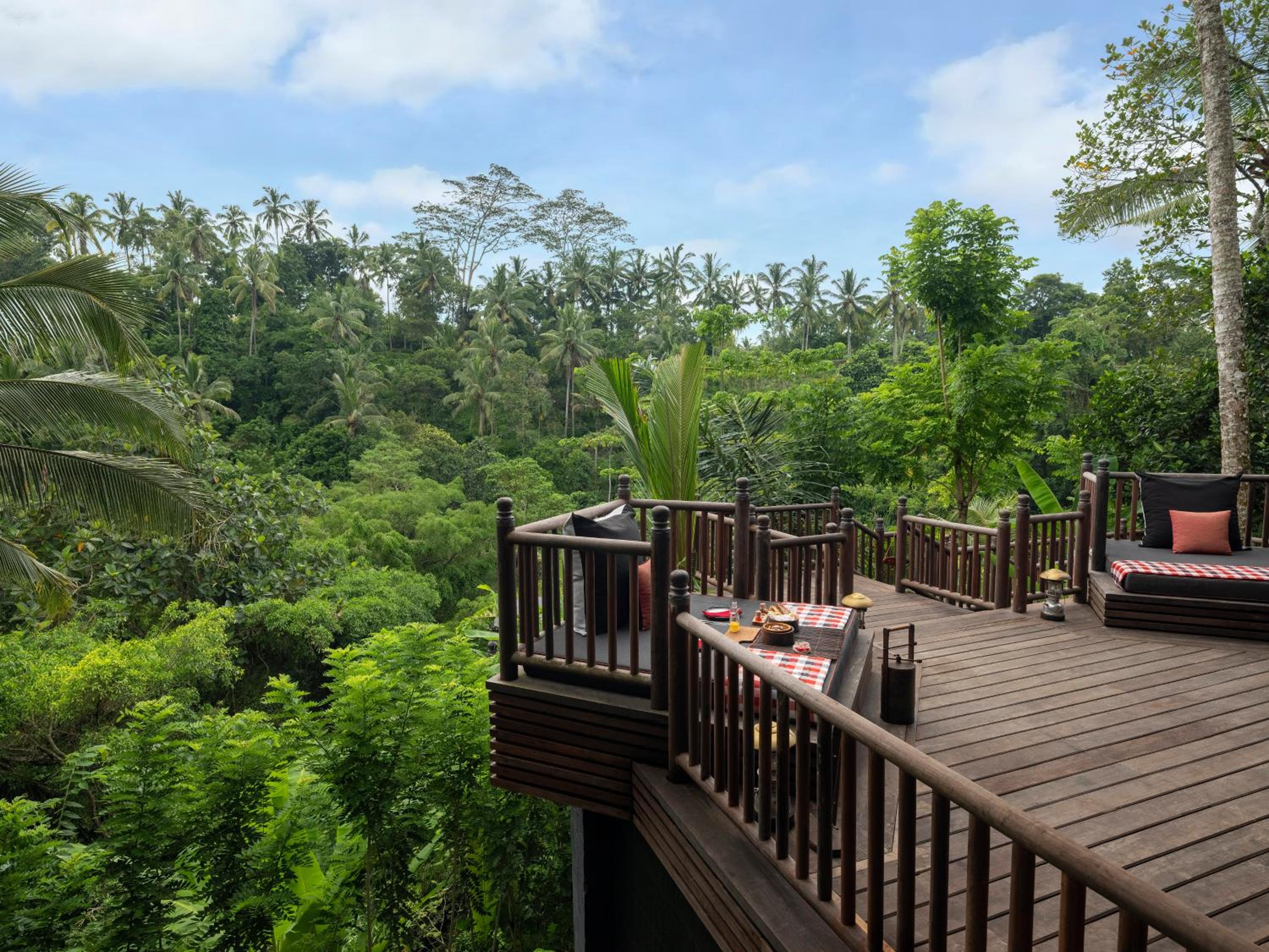 Capella Ubud, Ubud, Bali, Indonesia (photo 6)